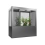Biohort Gewächshaus Florentina Maxi, 2x1m, Quarzgrau-Metallic mit Pflanzen.