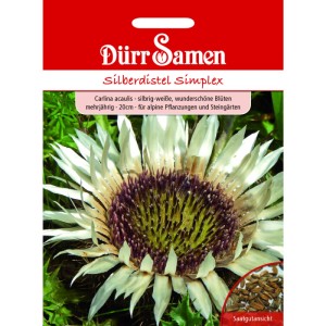 Dürr Samen Silberdistel Simplex Saatgut, silbrig-weiße Blüte auf der Verpackung.