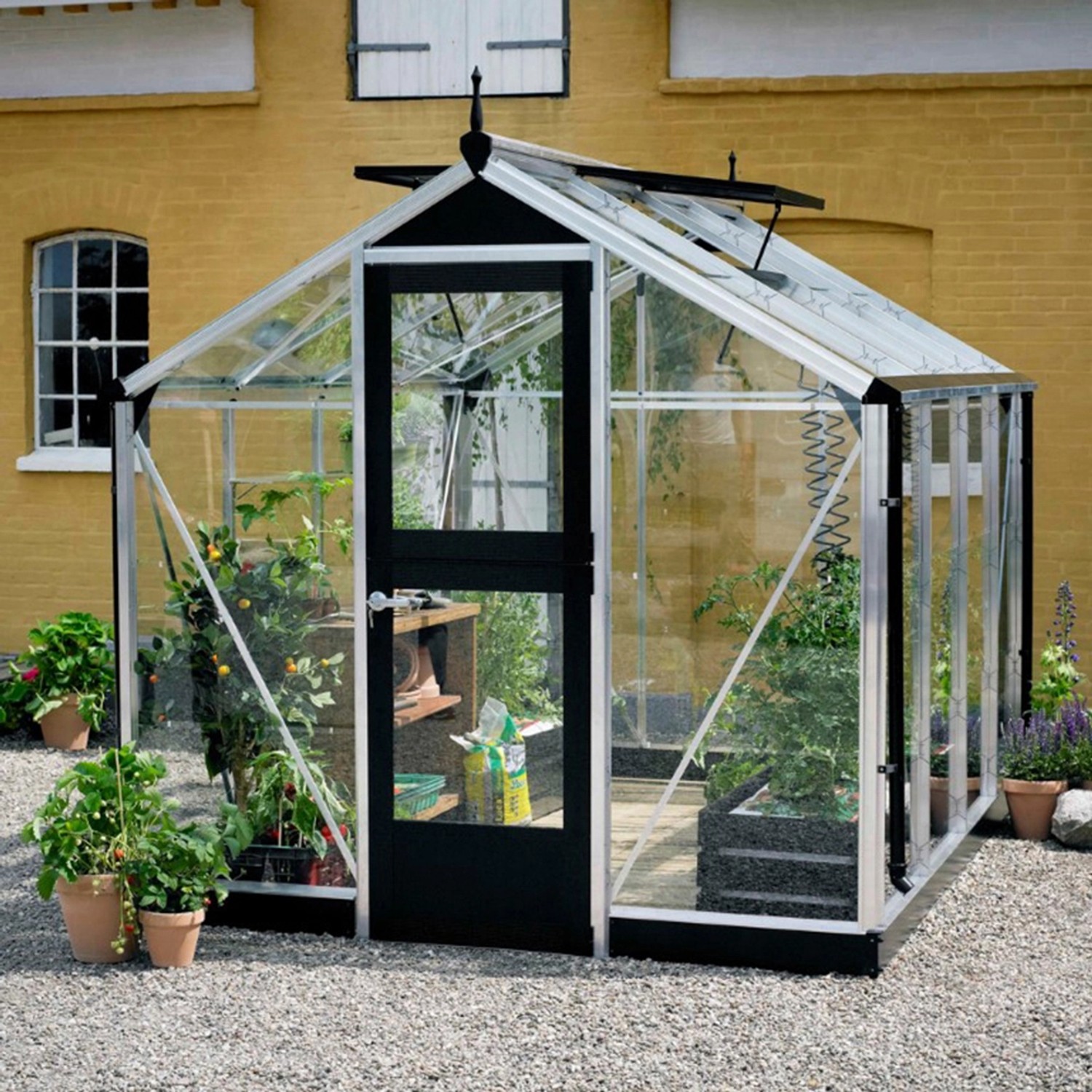 Juliana Gewächshaus Compact 6 Alu: Häuschenförmiges Gewächshaus mit Aluminiumrahmen und Pflanzen.