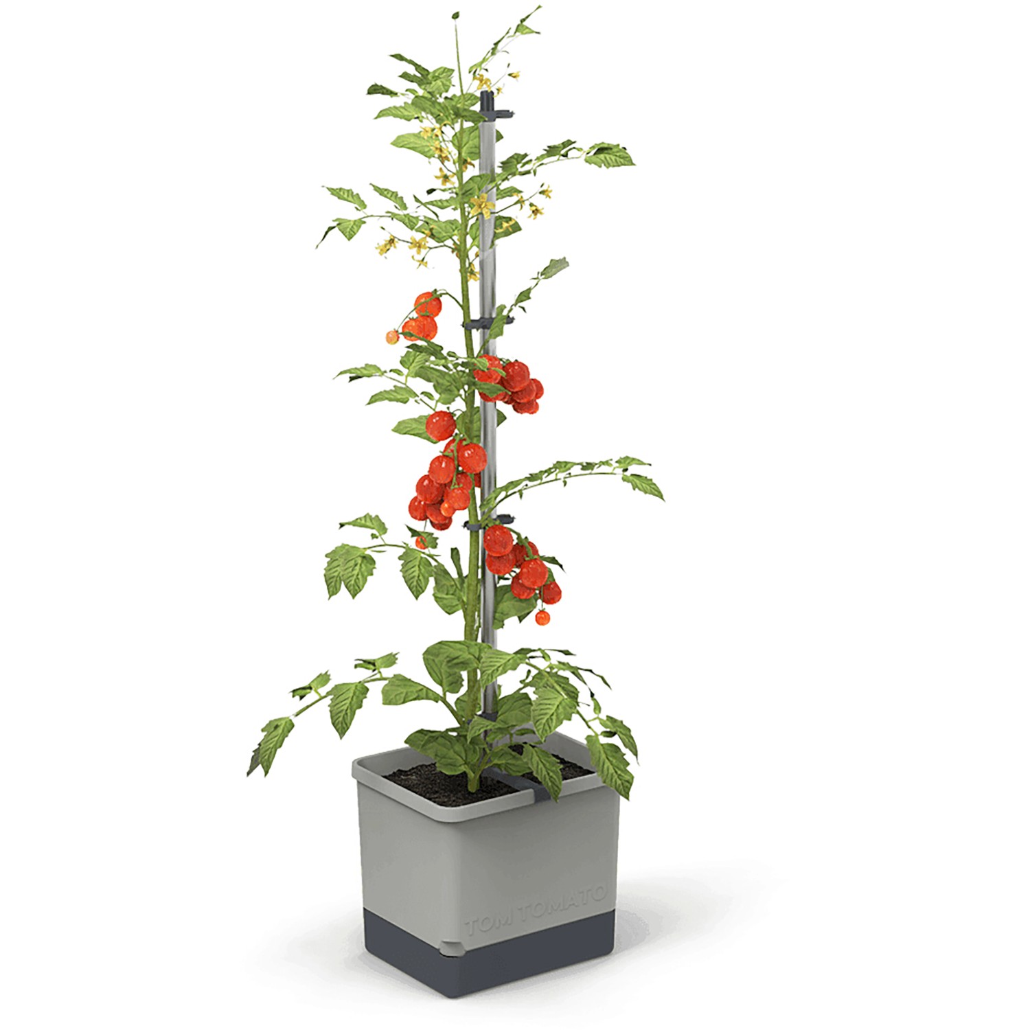 Gusta Garden Anzuchtsgefäß Tom Tomato 20 L hellgrau