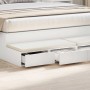vidaXL Bettschubladen Weiß 160 x 36,5 x 16,5 cm Holzwerkstoff 866971_4