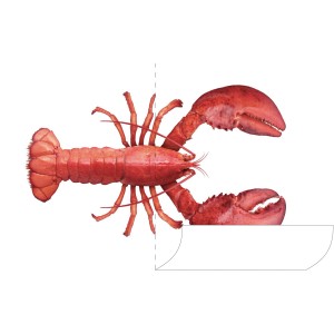 ESTAhome Wandtattoo Hummer Rot, 145x97cm. Dekorativer Wandaufkleber mit rotem Hummer Motiv.