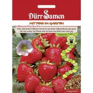 Dürr Samen Erdbeeren Florian F1: Saatgut für süße Erdbeeren aus dem eigenen Garten.