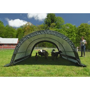 ShelterLogic Weidezelt 7,8 m² mit Ziegen auf einer Wiese.