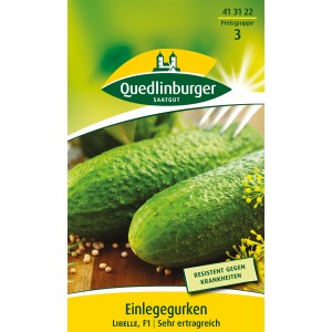 Samenpackung Quedlinburger Einlegegurke 'Libelle', F1-Hybride mit dunkelgrünen, glatten Gurken.