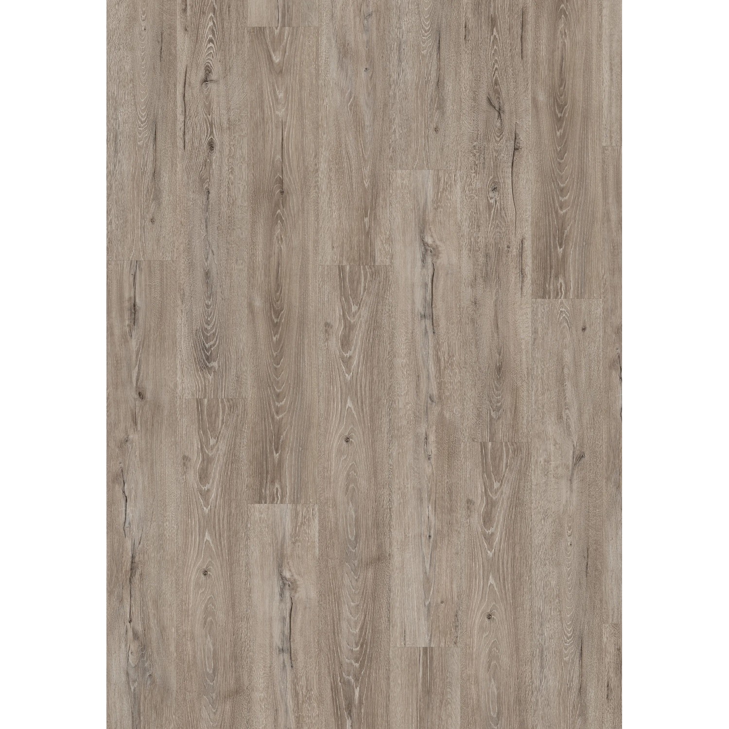 Egger Hybridboden Aquadura Panora Eiche Grau, Vinylboden mit Holzoptik und leichter Maserung.