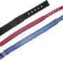 Hundehalsbänder in Blau, Rot und Schwarz mit Neoprenfutter, 20 mm breit und 45 cm lang.