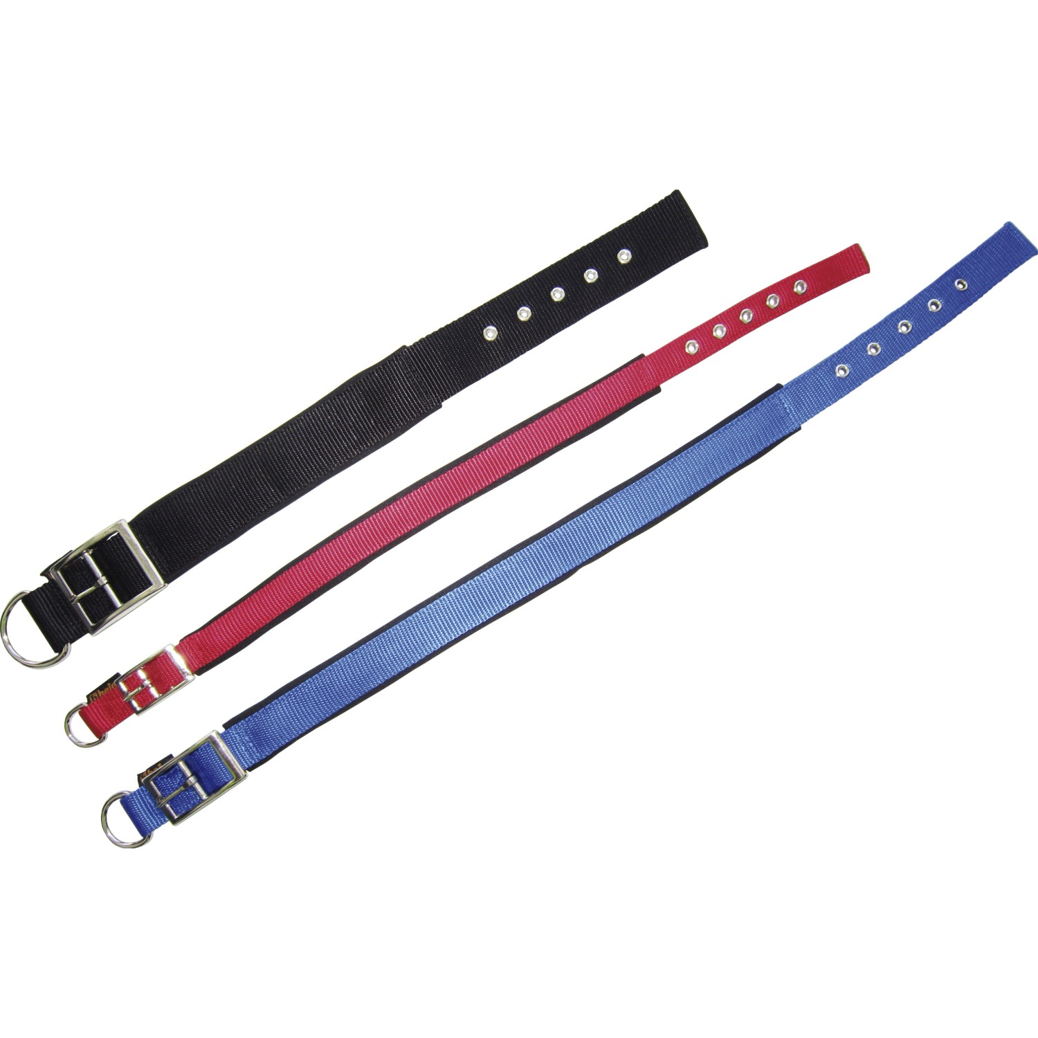 Hundehalsbänder in Blau, Rot und Schwarz mit Neoprenfutter, 20 mm breit und 45 cm lang.