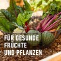 Gemüse und Kräuter im Korb, angebaut mit Compo Bio Universal-Erde.