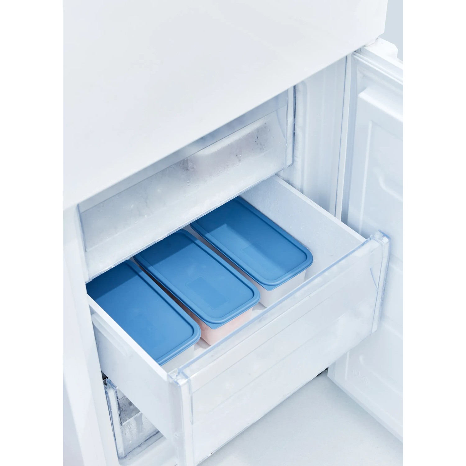 Rotho Gefrierdosen-Set Domino, 3 blaue Vorratsdosen 1,2 l im Gefrierschrank.