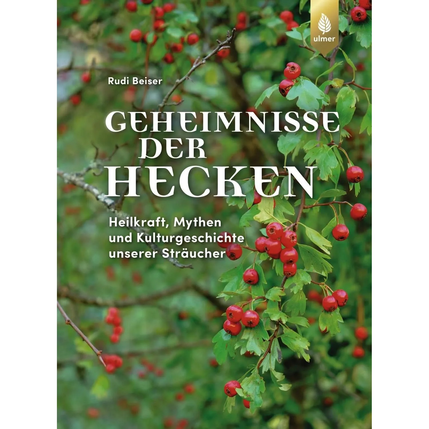 Geheimnisse der Hecken