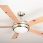 AIRERYDER Deckenventilator Ursa mit Leuchte, Nickel gebürstet, Flügel in Weiß und Pinie.