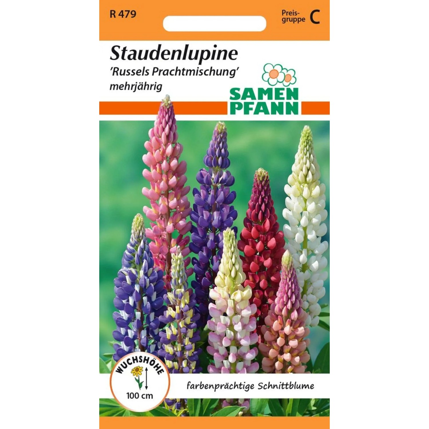 SAMEN PFANN Staudenlupine Russels Prachtmischung