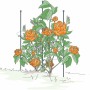 Bellissa Pflanzstab Premium 130 cm, verzinkt, mit orangefarbenen Blüten und grünen Blättern.