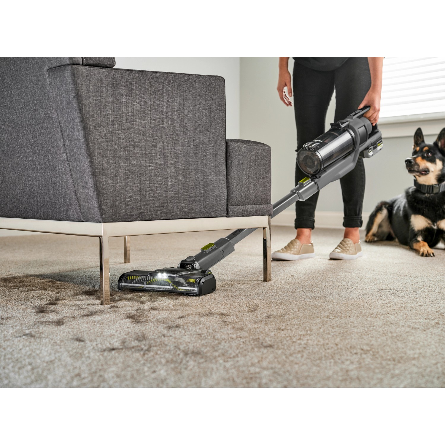 Ryobi Akku-Staubsauger RSVS18BL-0 in Aktion unter Sofa, mit Hund im Hintergrund.
