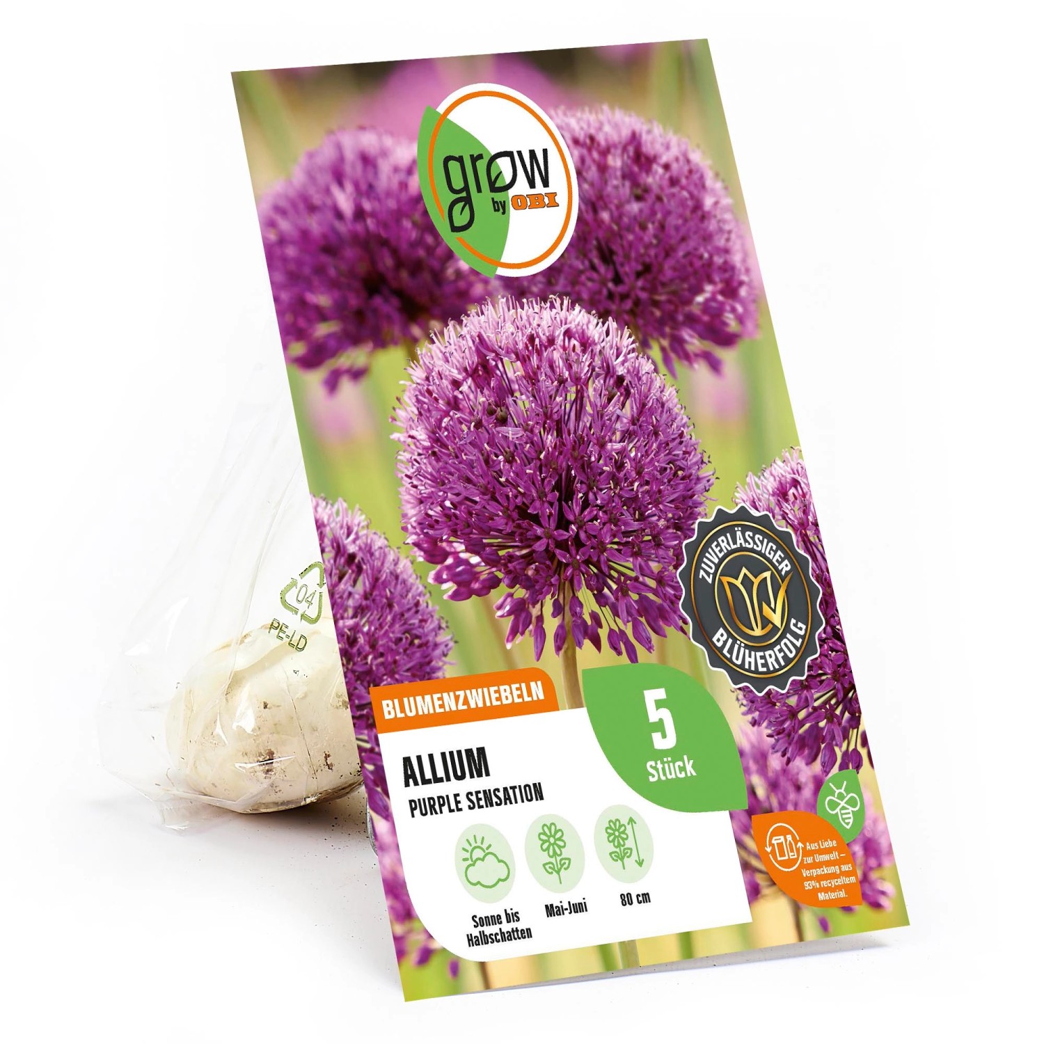 GROW by OBI Zierlauch Purple Sensation Purpur 80 cm Allium aflatunense günstig online kaufen