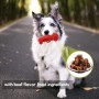 Hund mit rotem Kauspielzeug (Truck) im Maul. Intelligenzspielzeug für Hunde.