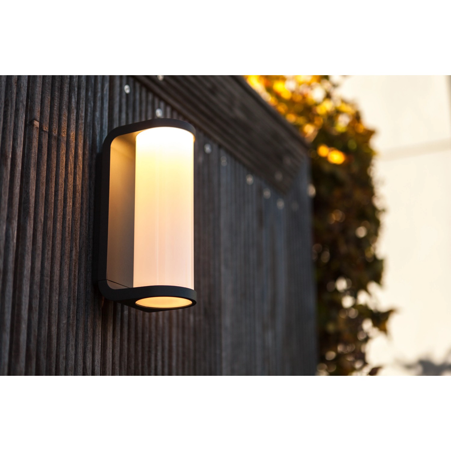 LED Außenwandleuchte Adalyn aus Aluminiumdruckguss in Anthrazit 200x105x70 mm