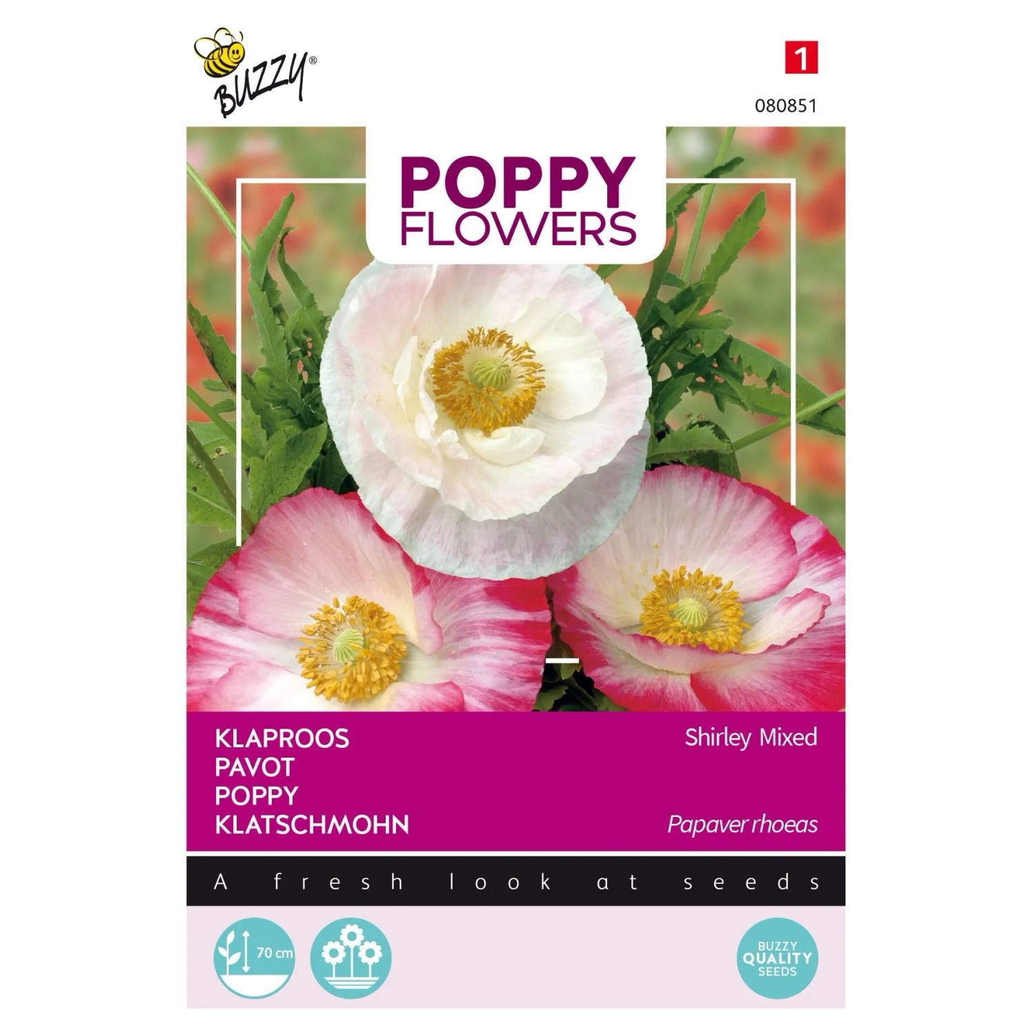 Klatschmohn 'Shirley Einfach Mischung' Buzzy Poppy Flowers Samen Ca. 1 g Zarte Farbmischung