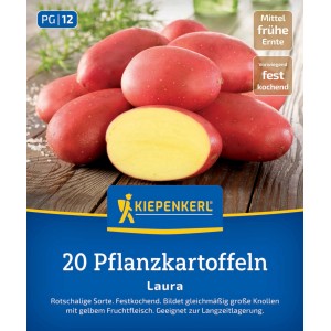 Kiepenkerl Pflanzkartoffel Laura, 20 St