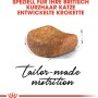 Krokette Royal Canin British Shorthair Katzenfutter Trocken für Britisch Kurzhaar