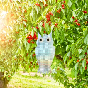 Windhager Vogelabwehr-Reflektor in Eulenform, hängt im Baum zur Vogelabwehr.