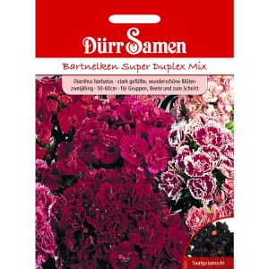 Dürr Samen Bartnelke Super Duplex Mix, zweijährige Blumensamen mit gefüllten Blüten in verschiedenen Farben.
