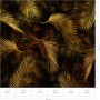 Erismann Fototapete Guido Maria Kretschmer Glossy Palms Gold, 3,0x2,7m. Goldene Palmenblätter auf dunklem Grund.