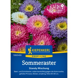 Kiepenkerl Sommeraster Standy Mischung: Saatgut-Packung mit bunten Asternblüten.