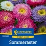 Kiepenkerl Sommeraster Standy Mischung: Saatgut-Packung mit bunten Asternblüten.