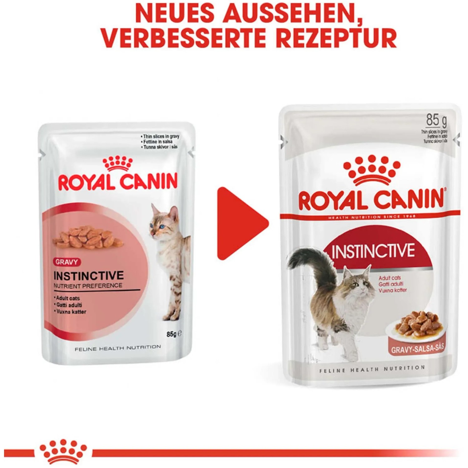 Royal Canin Katzenfutter Nass