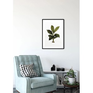 Komar Wandbild Elastica Leaf, 30x40 cm, mit botanischem Pflanzenmotiv im schwarzen Rahmen.