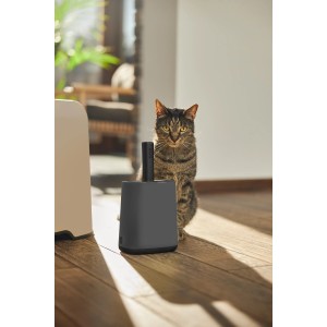Rotho Biala Schaufel mit Halter in Anthrazit, neben einer Katze platziert.