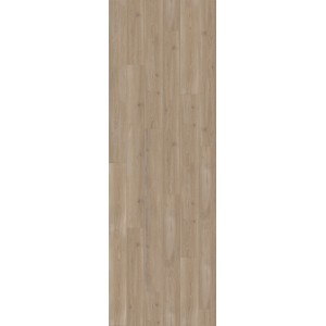 Parador Laminat Trendtime 6, 9mm, wasserfest, Eiche Skyline Grau. Laminatboden in Holzoptik.