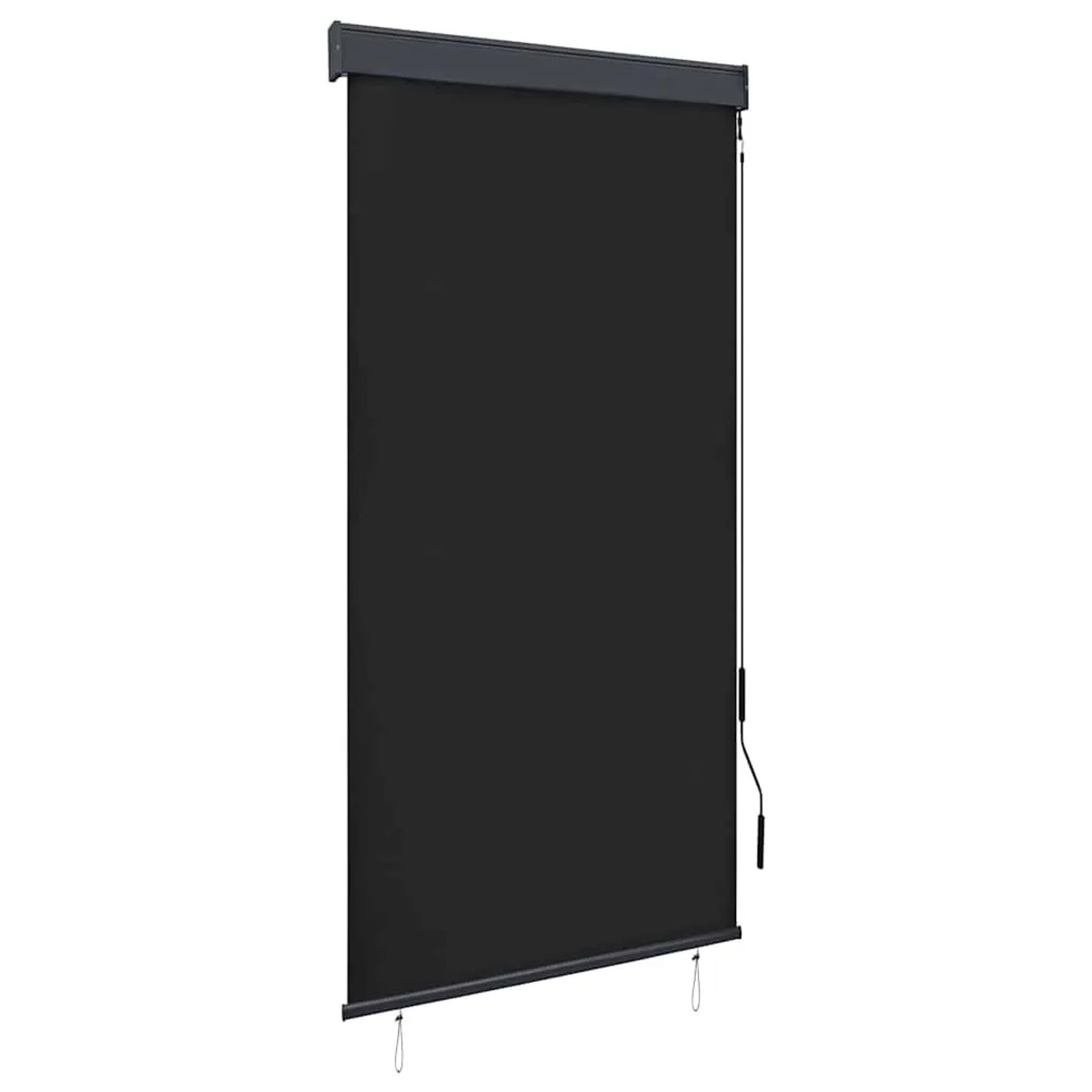 vidaXL Außenrollo 80 x 250 cm Anthrazit 145952
