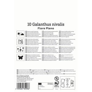 Kiepenkerl Schneeglöckchen Flore Pleno, 10er Packung Blumenzwiebeln für Februar-März Blüte.