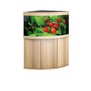 Juwel Trigon 350 Eckaquarium-Kombination in hellem Holz, 350 Liter, mit Fischen und Pflanzen.