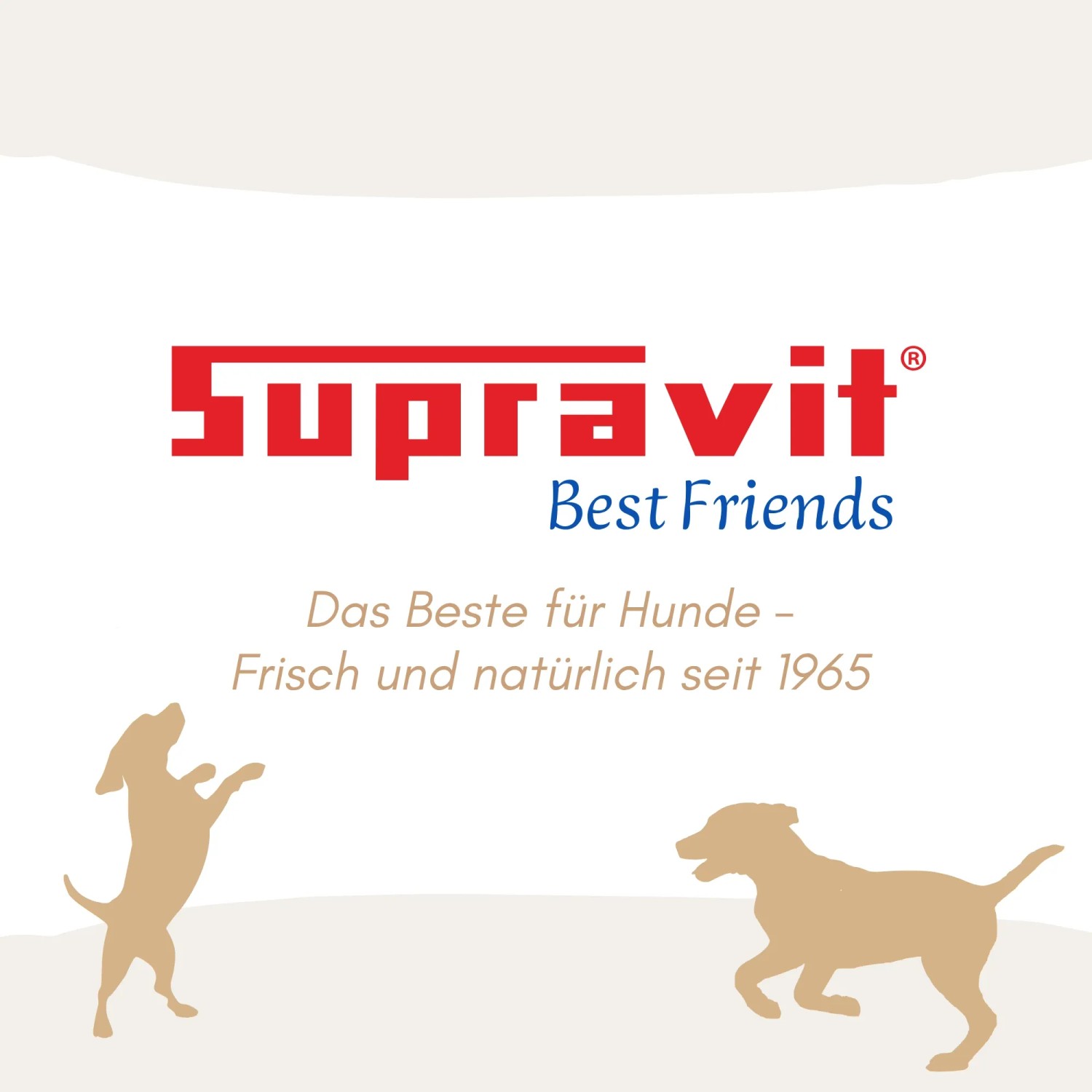 Supravit Hundenassfutter mit Rind_8