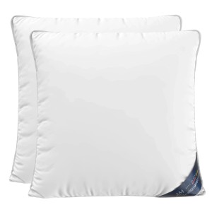 AM Qualitätsmatratzen Premium Daunenkissen 80x80 2er Set im 3-Kammer-System Made in Germany & DOWNPASS Zertfiziert