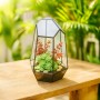 Relaxdays Pflanzenterrarium Glas Kupfer Schwarz 26 cm x 18 cm x 15 cm 0,8 kg_2