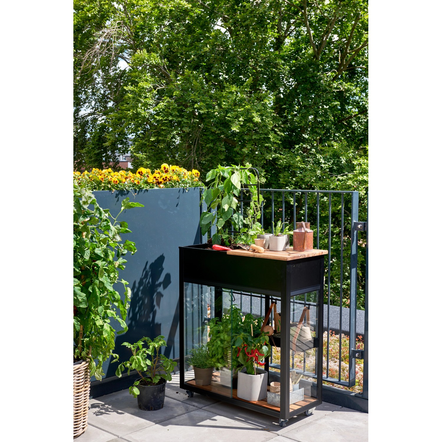 Juliana Urban Vertical Gewächshaus auf Balkon mit Pflanzen und Arbeitsfläche. Mini-Gewächshaus für Terrasse.