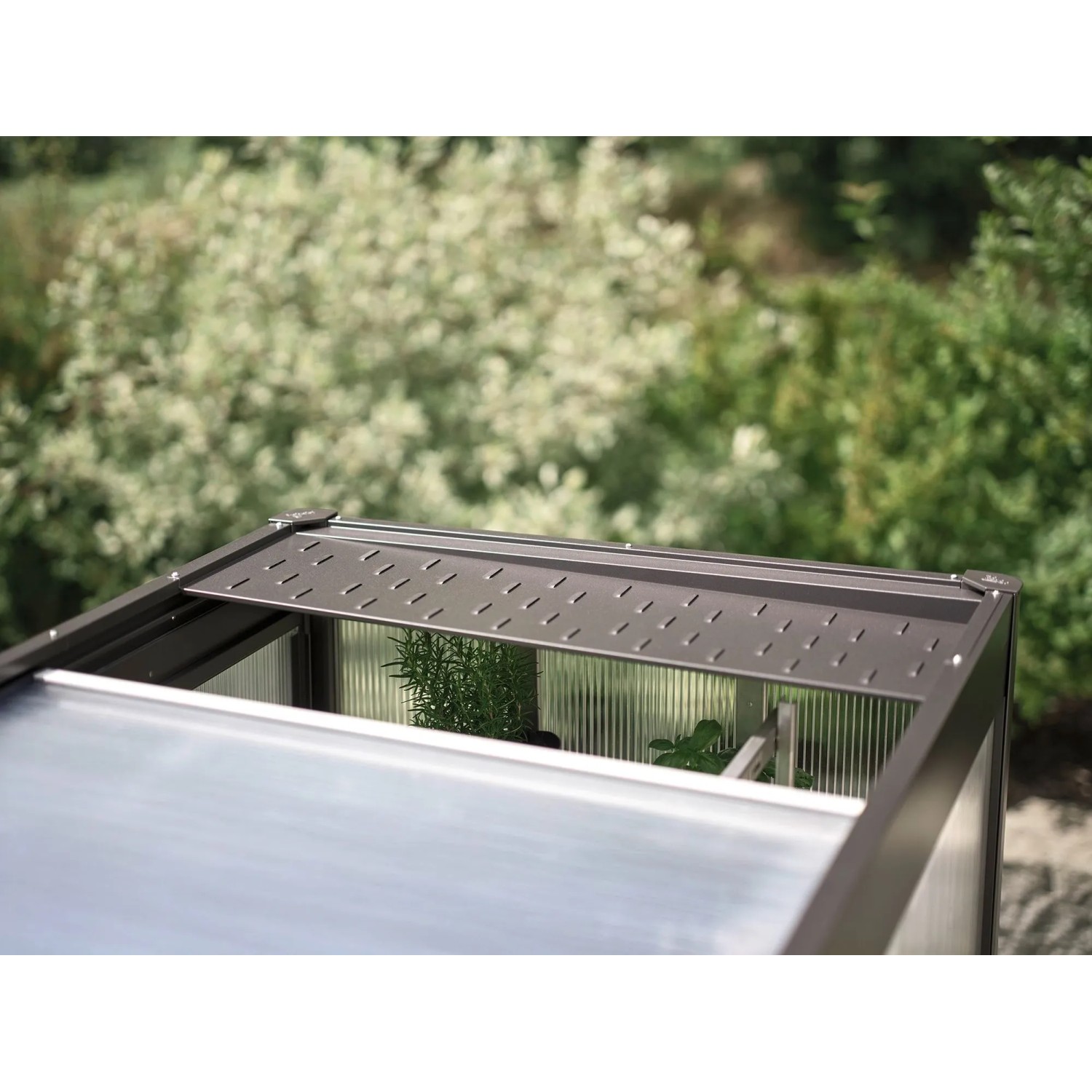 Biohort Belüftung für Florentina Gewächshaus, silber-schwarz, Detailaufnahme des geöffneten Dachfensters.