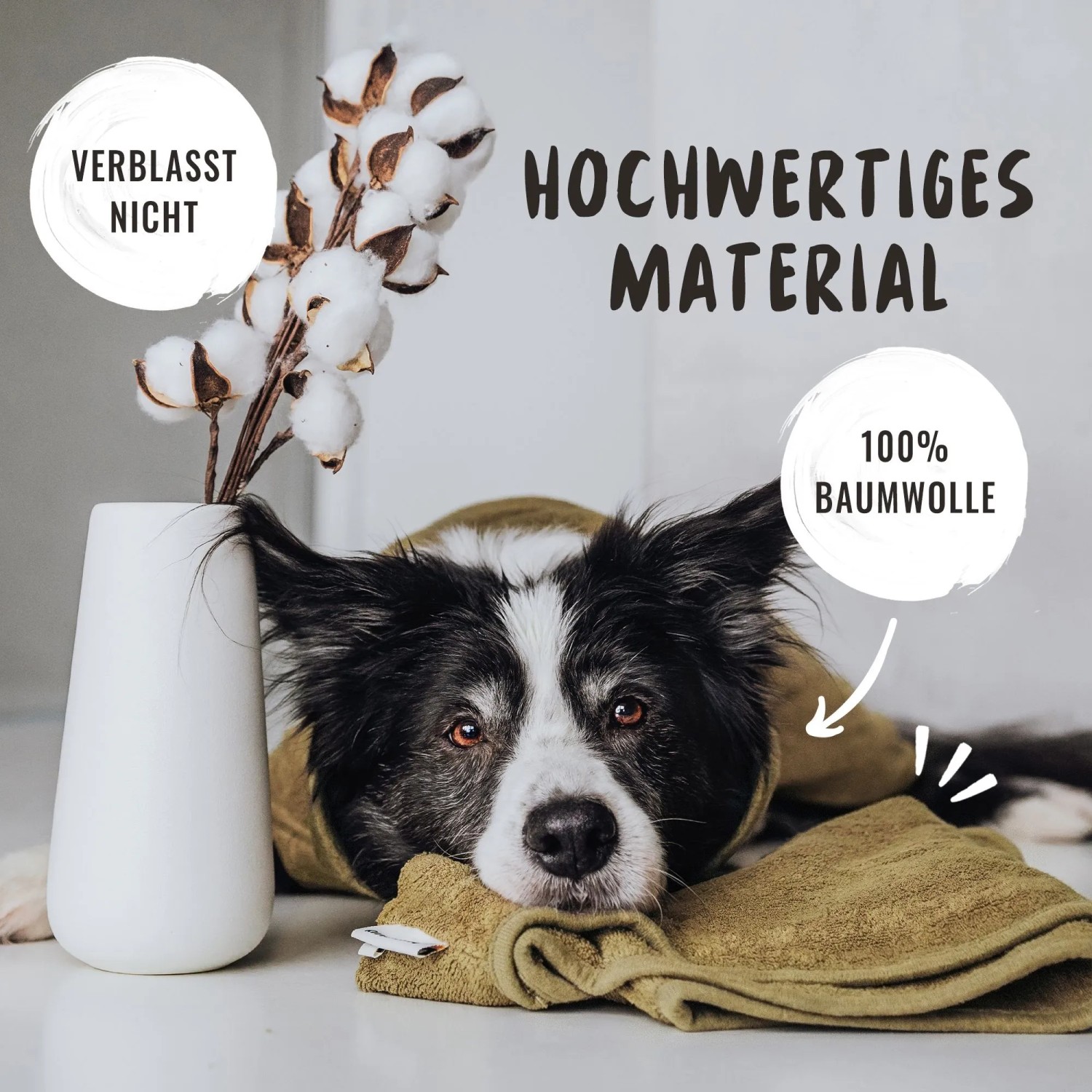 Hund im grünen Rudelkönig Bademantel L aus Baumwoll-Frottee. Kuschelig weich und saugstark.