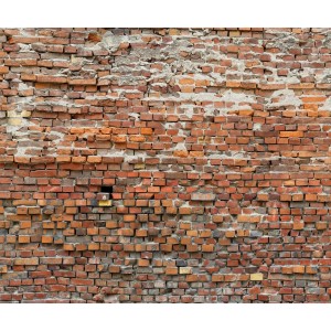 Komar Fototapete Vlies Bricklane, rote Backsteinmauer Optik, 300x250cm