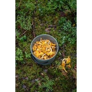 Orthex Eimer 10 l Moss Green gefüllt mit frischen Pfifferlingen im Wald.