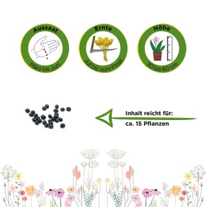 Salbei Samen: Aussaat, Erntezeit, Pflanzenhöhe und Inhalt der Kräutersamen Packung.