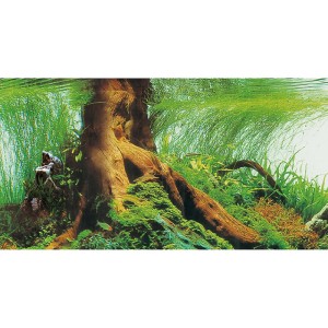 Selbstklebende Aquarium Fotorückwand: Unterwasserlandschaft mit großer Baumwurzel, grünen Wasserpflanzen und Fischen.