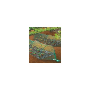 Vogelschutznetz Premium über Erdbeerpflanzen im Garten, Schutz vor Vogelfraß.