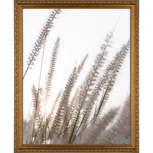 Holzbilderrahmen, goldfarben, verschnörkelt, 40x50 cm. Dekorativer Rahmen für Fotos und Bilder.