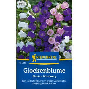 Kiepenkerl Glockenblume Marien Mischung mit blauen, rosa und weißen Blüten.